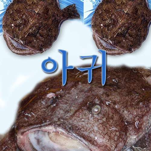 ǰ 